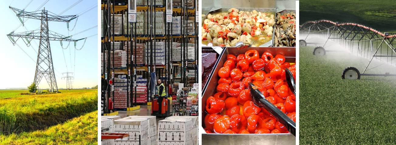 Cover photo collage: Warehouse distribution center, windmill field, agricultural sprinkler system, and food and serving trays
