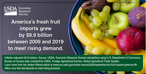America's fresh fruit imports grew by $8.9 billion between 2009 and 2019 to meet rising demand.