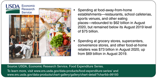 Spending at food-away-from-home establishments rebounded to $62 billion in August 2020, but remained below its August 2019 level of $75 billion. To the left of the infographic is an image of a couple sitting down in front of a café, and an image of a shopping cart filled with fruits and vegetables.