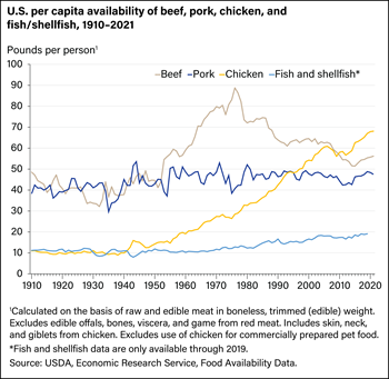 Per capita availability of chicken higher than that of beef