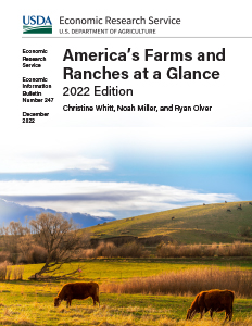 This is the cover image for the America’s Farms and Ranches at a Glance: 2022 Edition report.