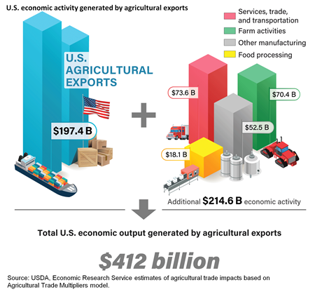 Bar chart showing U.S. agricultural exports and the additional activity supported in transportation, farm activities, food processing, and other manufacturing