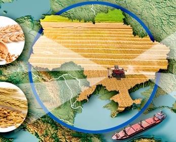 Graphic map of Ukraine with images of wheat, barley, corn, and sunflower seeds.