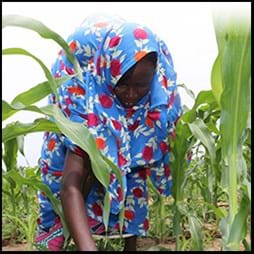 African woman working in field