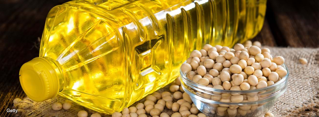 Bottle of Soy oil and soybeans