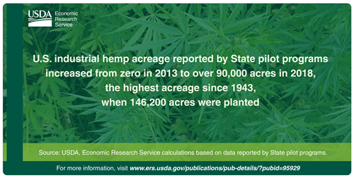 U.S. industrial hemp acreage reported by State pilot programs increased from zero in 2013 t over 90,000 acres in 2018, the highest acreage since 1943, when 146,200 acres were planted.