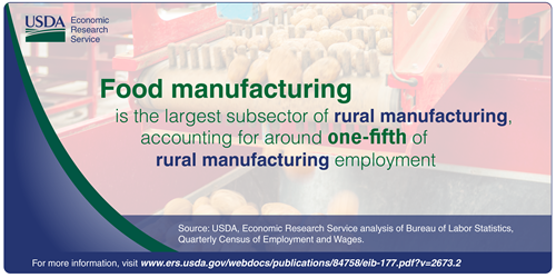 Food manufacturing is the largest subsector of rural manufacturing, accounting for around one-fifth of rural manufacturing employment.