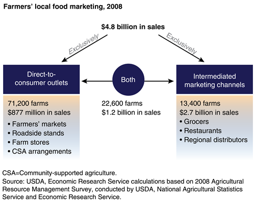 A flow chart shows local food marketing shares that go to direct-to-consumer outlets and intermediated marketing channels