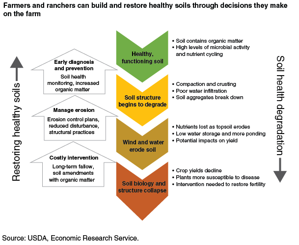 This chart shows: 'Farmers and ranchers can build and restore healthy soils through decisions they make on the farm'.