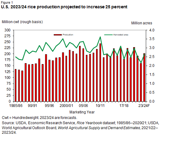 Bar and line chart of U.S. 2023/24 rice production projected to increase 25 percent