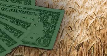 Graphic depiction of U.S. dollar bills with stalks of wheat behind them.