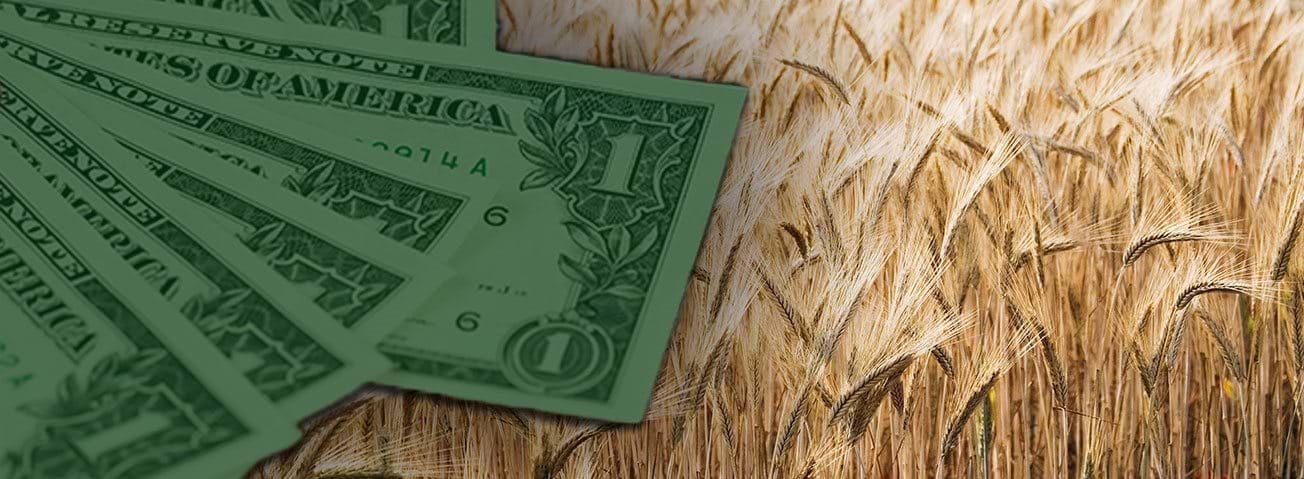 Graphic depiction of U.S. dollar bills with stalks of wheat behind them.
