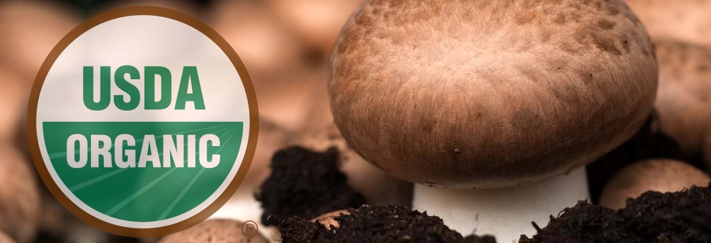 Photo illustration of mushroom and USDA Organic logo.
