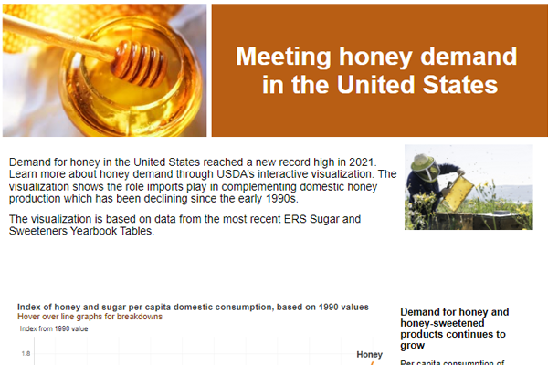 thumbnail Meeting honey demand in the United States