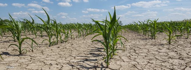 USDA ERS - Farmers Employ Strategies To Reduce Risk of Drought Damages