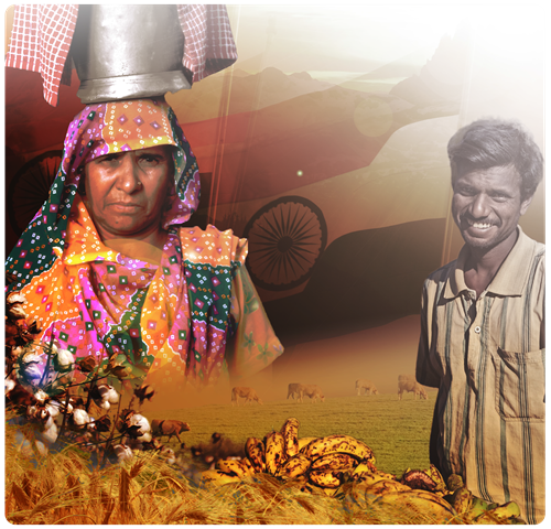Digital collage of Indian woman and man, with cotton and bananas in foreground, and cattle and Indian flag in background