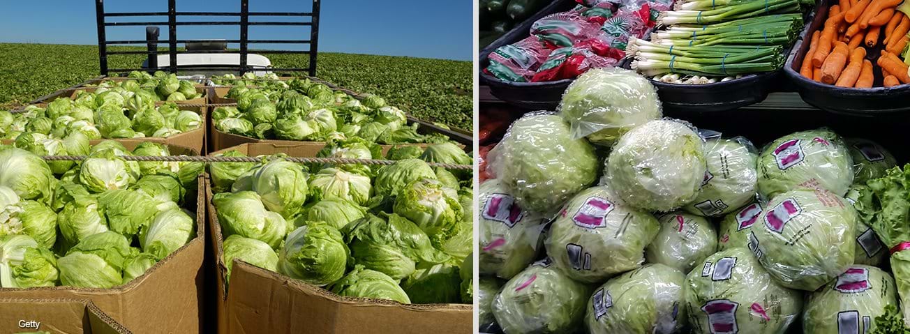 Photo collage: A field of lettuce and lettuce in the produce aisle