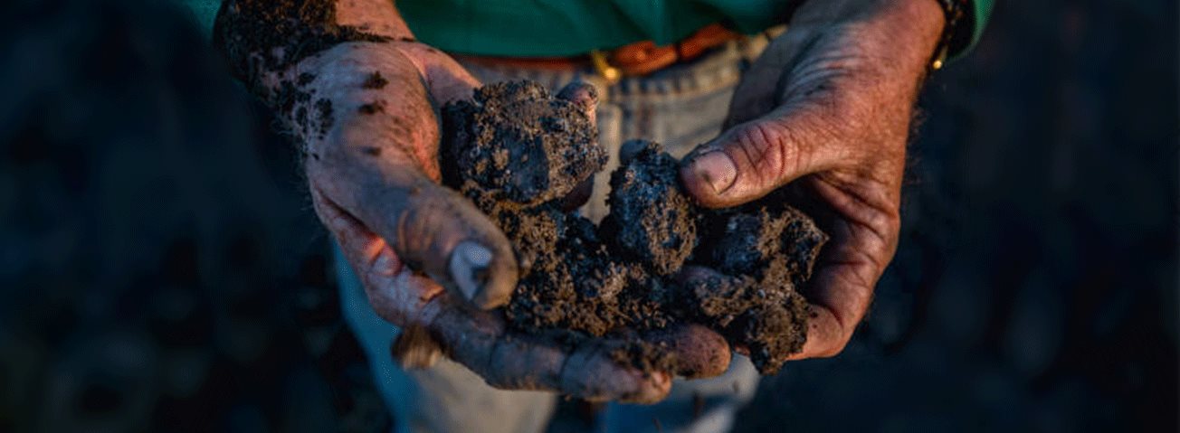 Hand holding a clump of soil