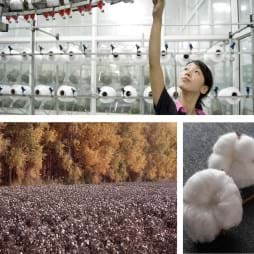 Cover image Chinese Cotton: Textiles, Imports, and Xinjiang