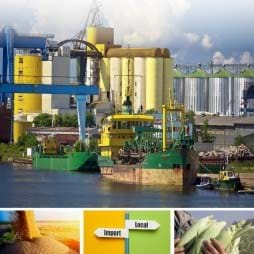 Cover image of Economic Crises and U.S. Agricultural Exports