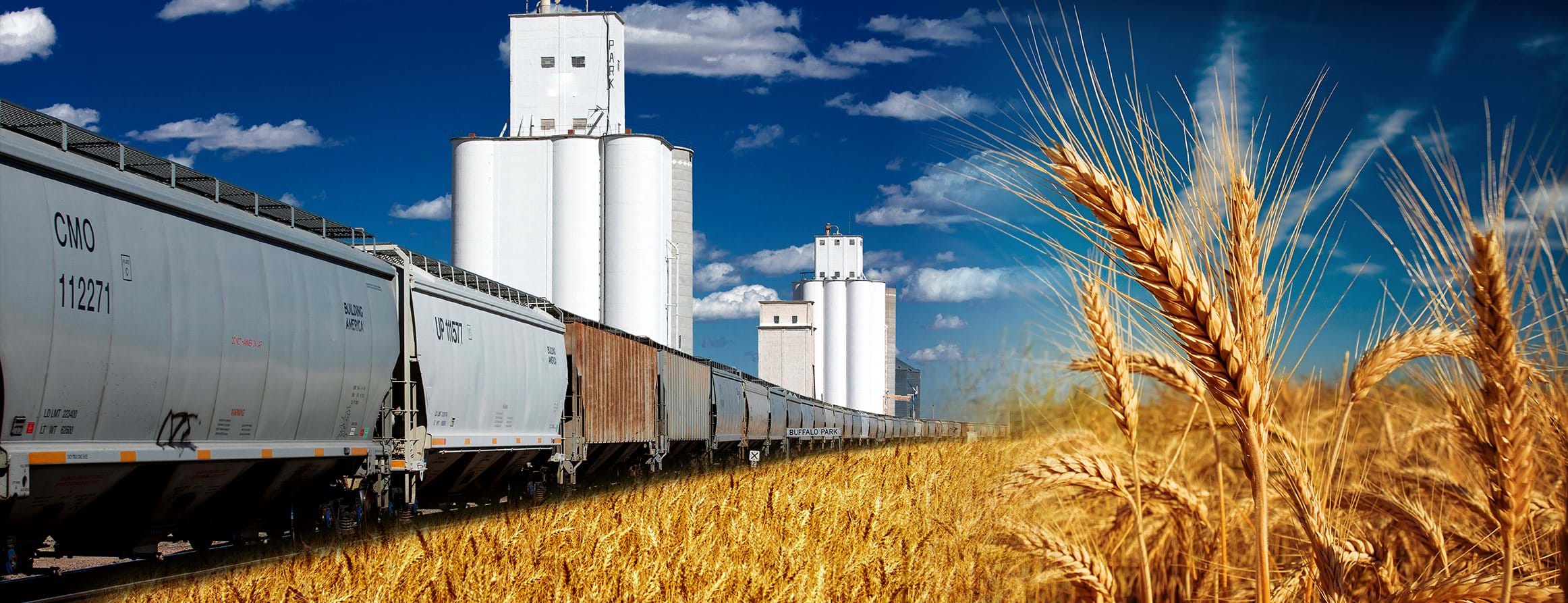 Photo illustration of a freight train rolling past a field of wheat.