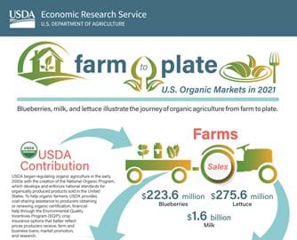 Infographic showing the journey of organic foods from farm to plate.