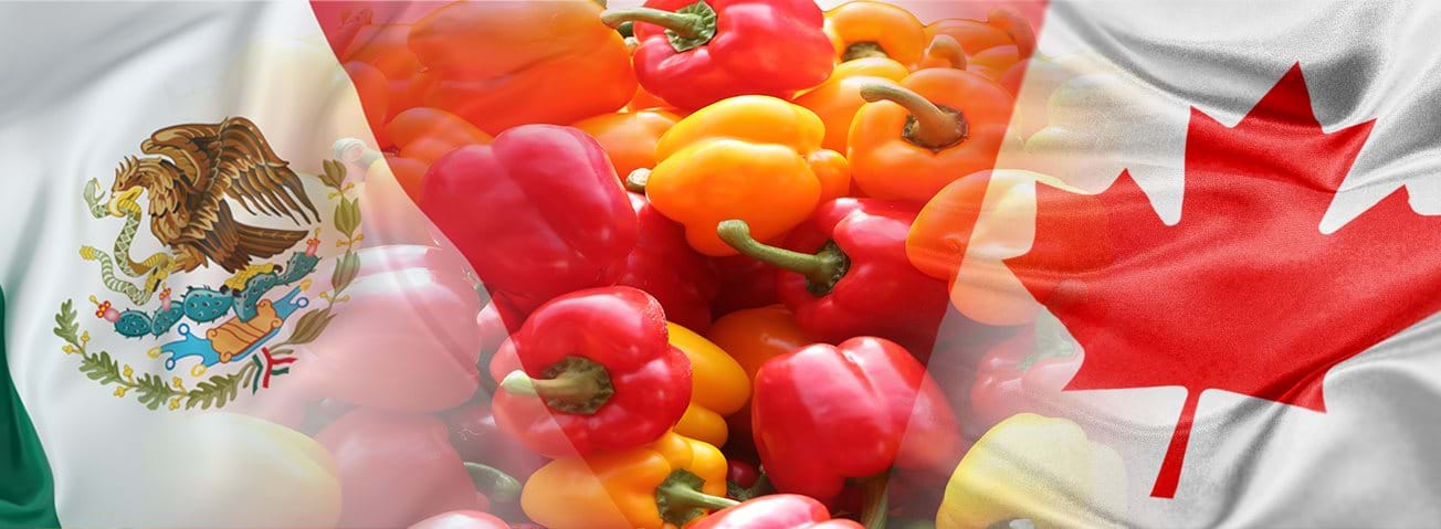 An image of bell peppers with flags of Mexico and Canada superimposed over it. 