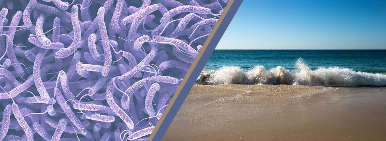 Photo illustration of microscopic view of bacteria and waves crashing on a beach