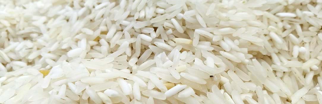 Close up picture of milled rice