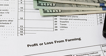 Graphic depiction of a farming profit or loss sheet, cash, and calculator