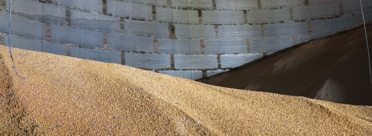 Photo of pile of grain in a silo.