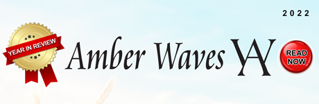 Amber Waves: 2022 Year in Review