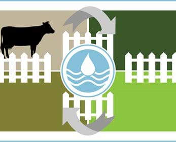 Graphic depicting rotational grazing system for cattle