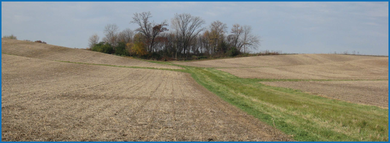 Landscape scene of unsown farm land with a copse of trees in the background.