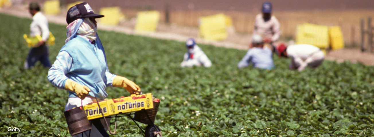 Farm workers
