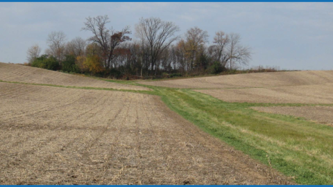 Landscape scene of unsown farm land with a copse of trees in the background.