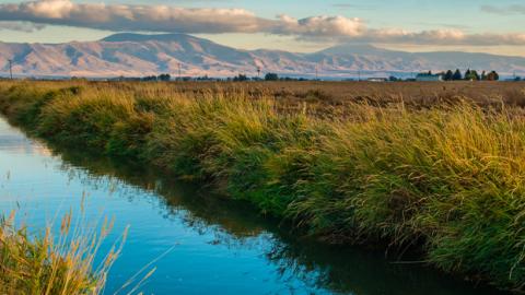 Irrigation ditch running through a crop field with mountains in the background.
