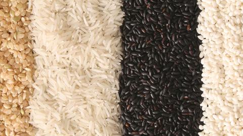 Different types of rice side by side in rows.