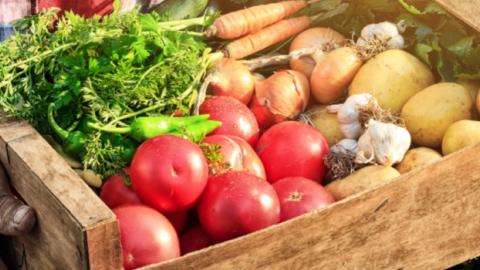 Farmer holding a wooden box full of fresh vegetables.
