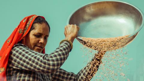 Woman pouring rice from a large, metal bowl.