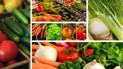 Collage of colorful assorted vegetables including carrots, onions, tomatoes, and cucumbers.
