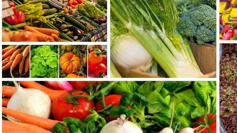 A collage of vegetables.