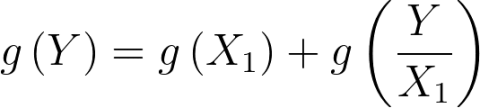 Equation 5: g\left(Y\right)=g\left(X_1\right)+g\left(\frac{Y}{X_1}\right)