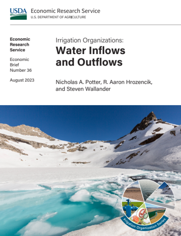 cover of  Irrigation Organizations: Water Inflows and Outflows
