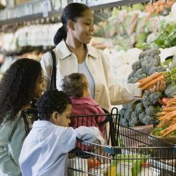Thumbnail Err 299 Cover image of Cost Implications of Participant Product Selection in USDA’s Special Supplemental Nutrition Program for Women, Infants, and Children (WIC)