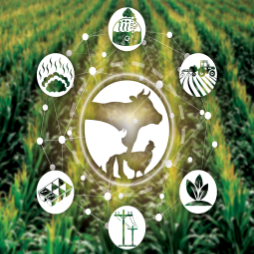 AP109 Increasing The Value Of Animal Manure For Farmers Cover image for Increasing the Value of Animal Manure for Farmers