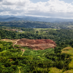 AP114 PR Ag Econ In The Aftermath Of Irma And Maria Cover image for Puerto Rico’s Agricultural Economy in the Aftermath of Hurricanes Irma and Maria: A Brief Overview