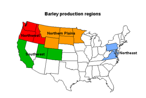 Barley_499x338