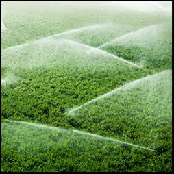 Before Implementation of the Food Safety Modernization Act's Produce Rule A Survey of U.S. Produce Growers.JPG
