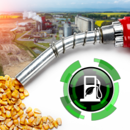 BIO05 Global Demand For Fuel Ethanol Through 2030 Cover image for Global Demand for Fuel Ethanol Through 2030
